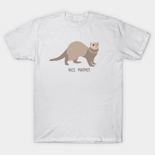 Nice Marmot T-Shirt